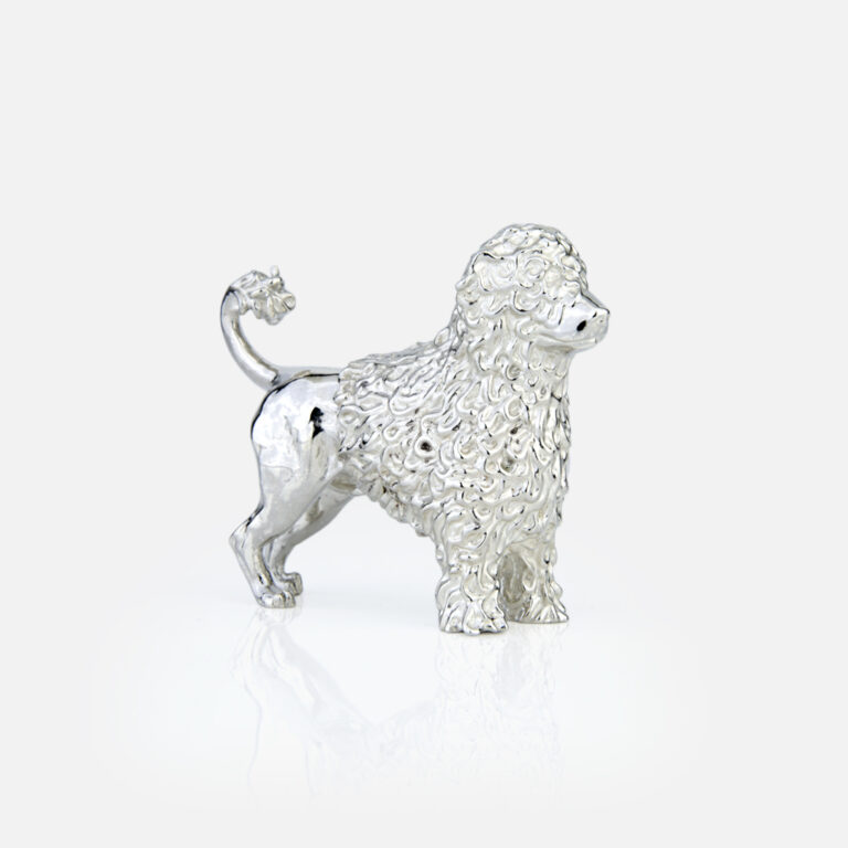 Cão de Água português em Prata da Leitão & Irmão